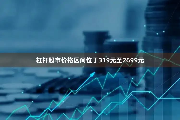 杠杆股市价格区间位于319元至2699元
