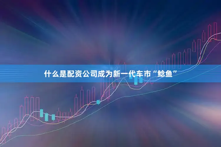 什么是配资公司成为新一代车市“鲶鱼”